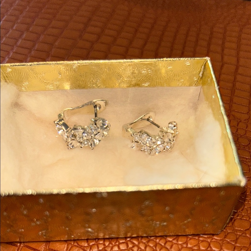 Elegant Silver Crystal Earrings